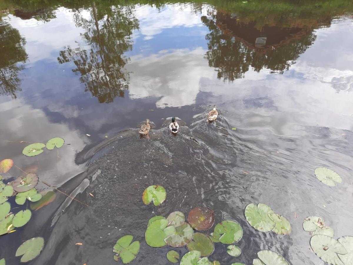 Waterhuis Friesland Oudwoude ภายนอก รูปภาพ